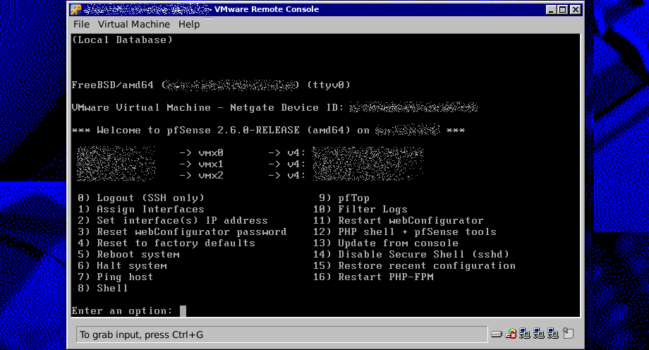 VMware Remote Console