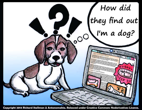 A cute beagle is sitting by his computer, which shows pop-up ads for a yummy bone, a dog toy, and a comfortable-looking doggy bed. These ads partially cover the text of an article by Richard Stallman, How Much Surveillance Can Democracy Withstand? (only visible in the large picture). The dog is wondering, 'How did they find out I'm a dog?'